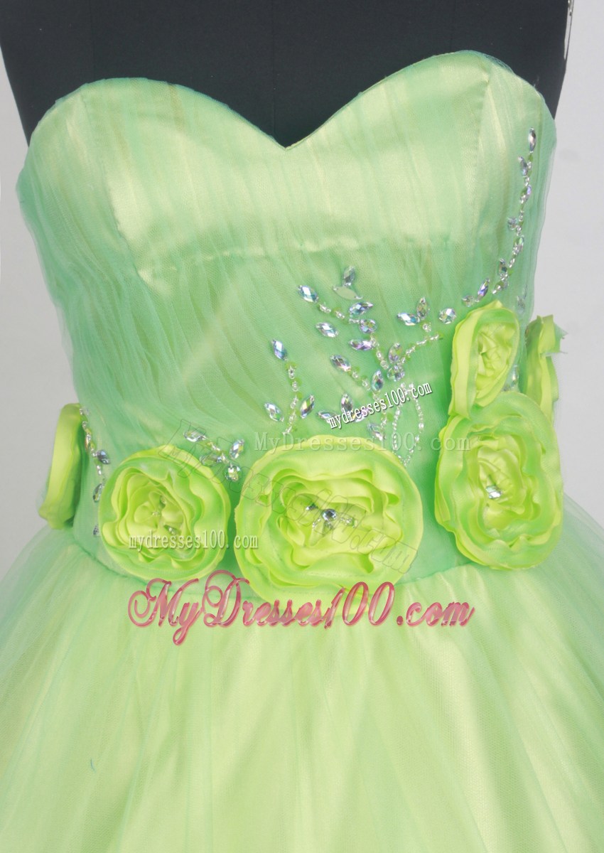 Hand Made Flowers and Beaded Quinceanera Dress in Pale Green